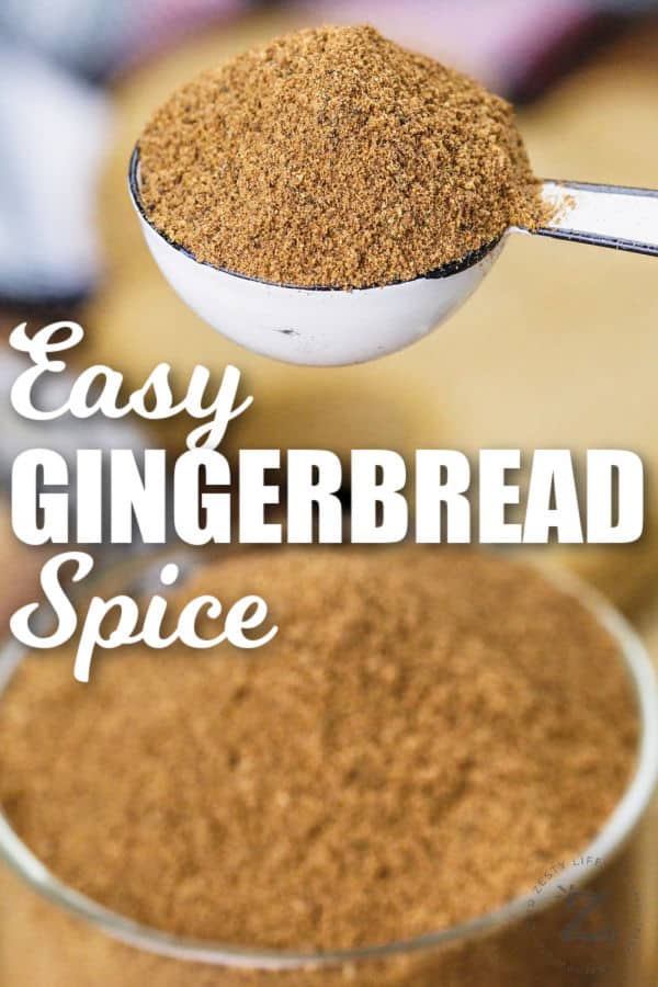 Gingerbread Spice in a jar and in a spoon with writing