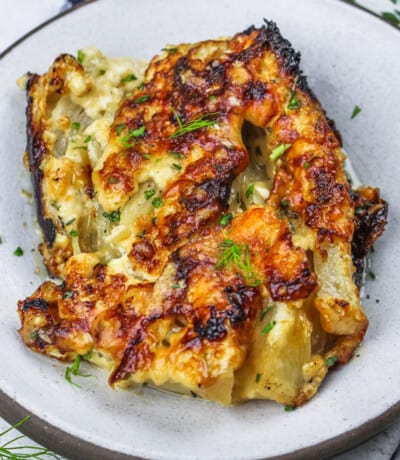 plated Cheesy Baked Fennel