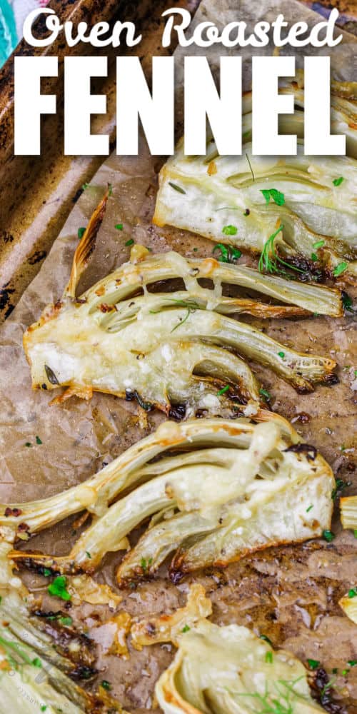 roasted fennel on a parchment lined baking sheet and garnished with fennel fronds, with a title