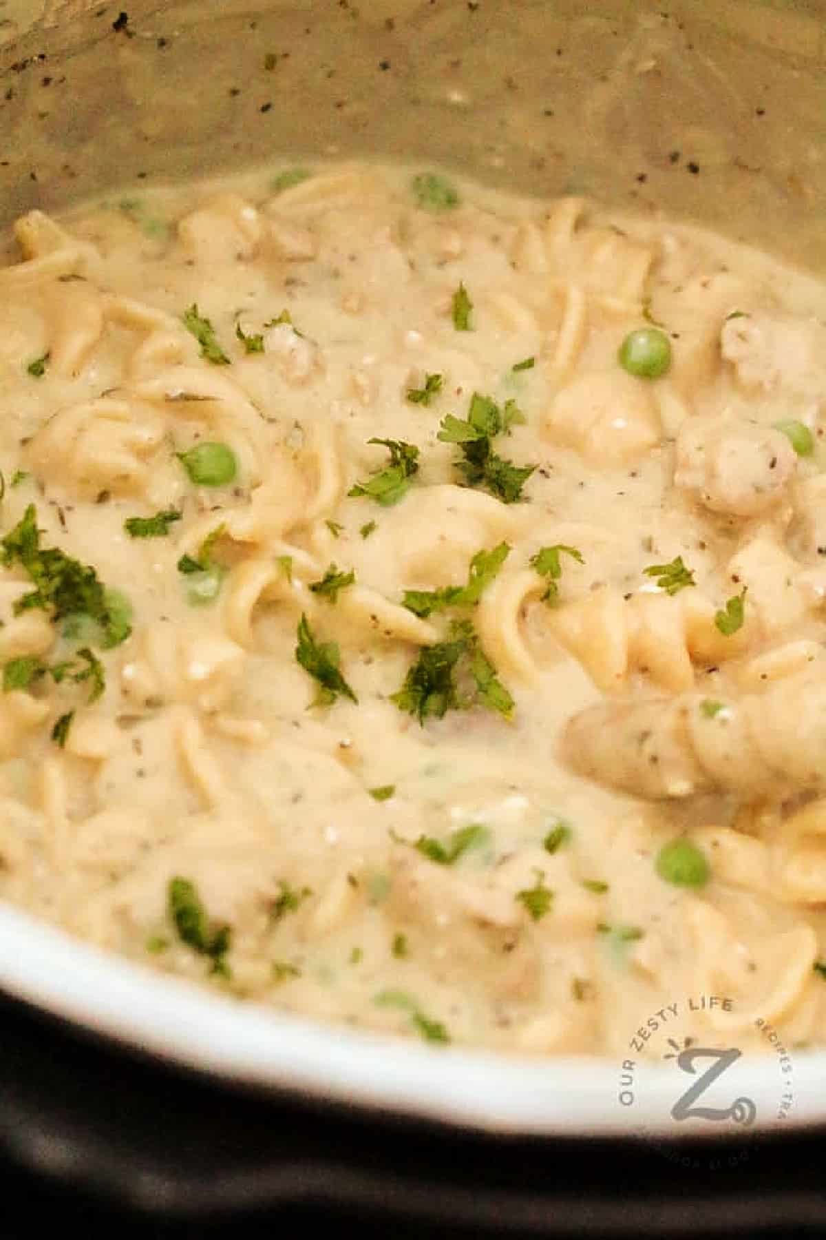 Creamy Instant Pot Chicken And Noodles in the Instant Pot