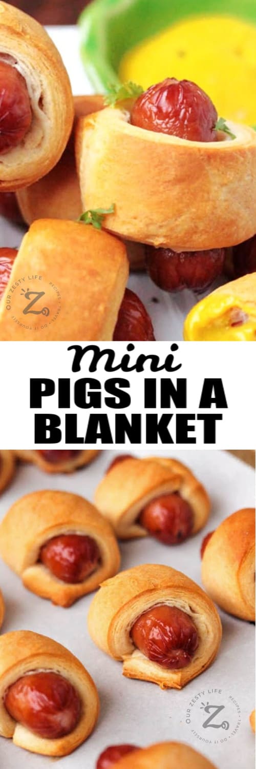 mini pigs in a blanket on a white plate, garnished with parsley, with cheese dipping sauce in the background, and cooked crescent dogs under the title