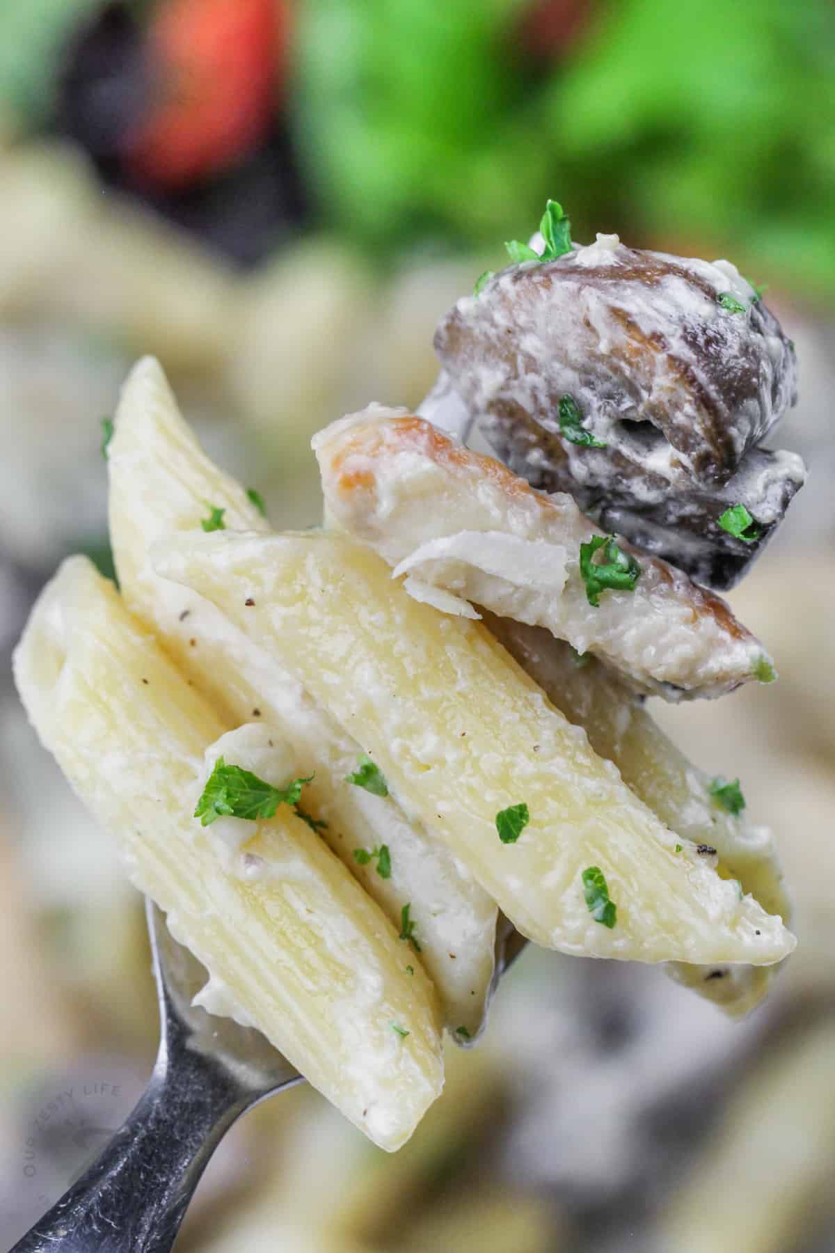 close up of Boursin Cheese Pasta on a fork