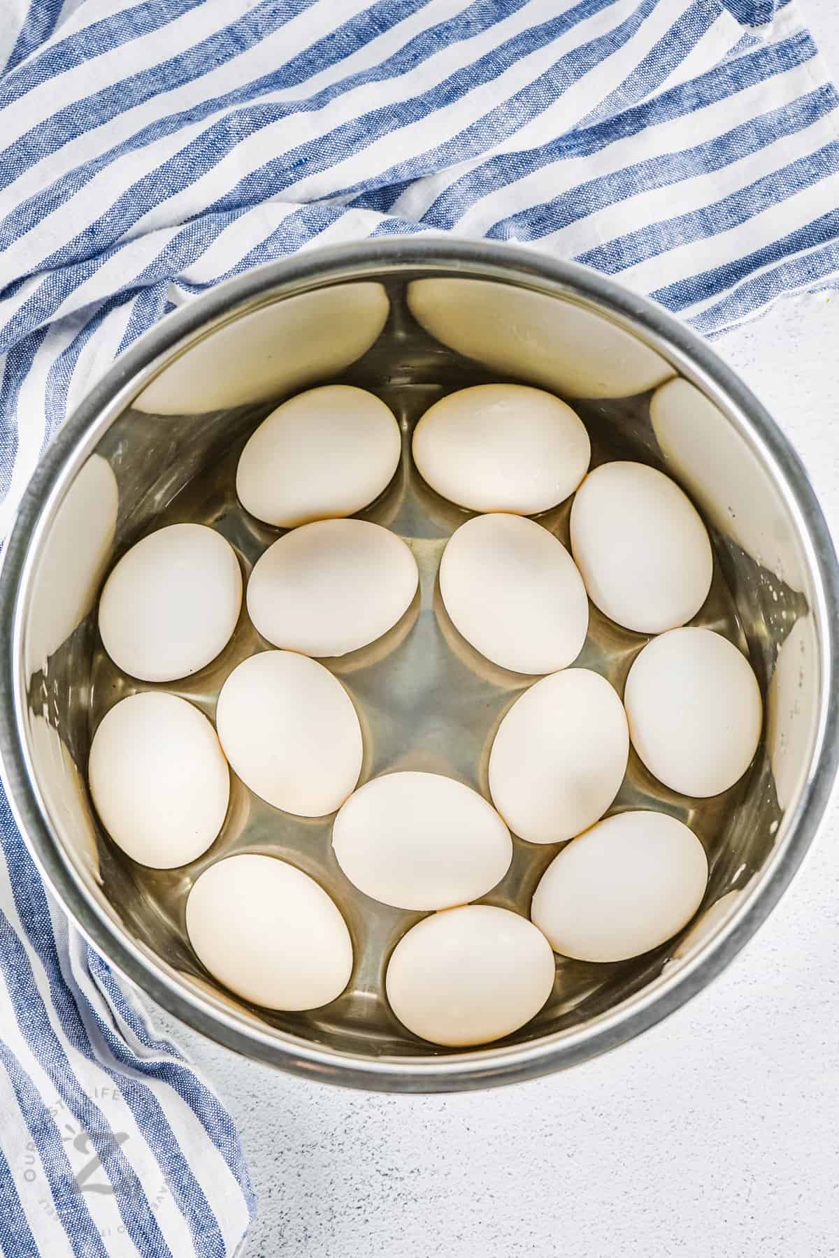 eggs in pot to make Instant Pot Eggs