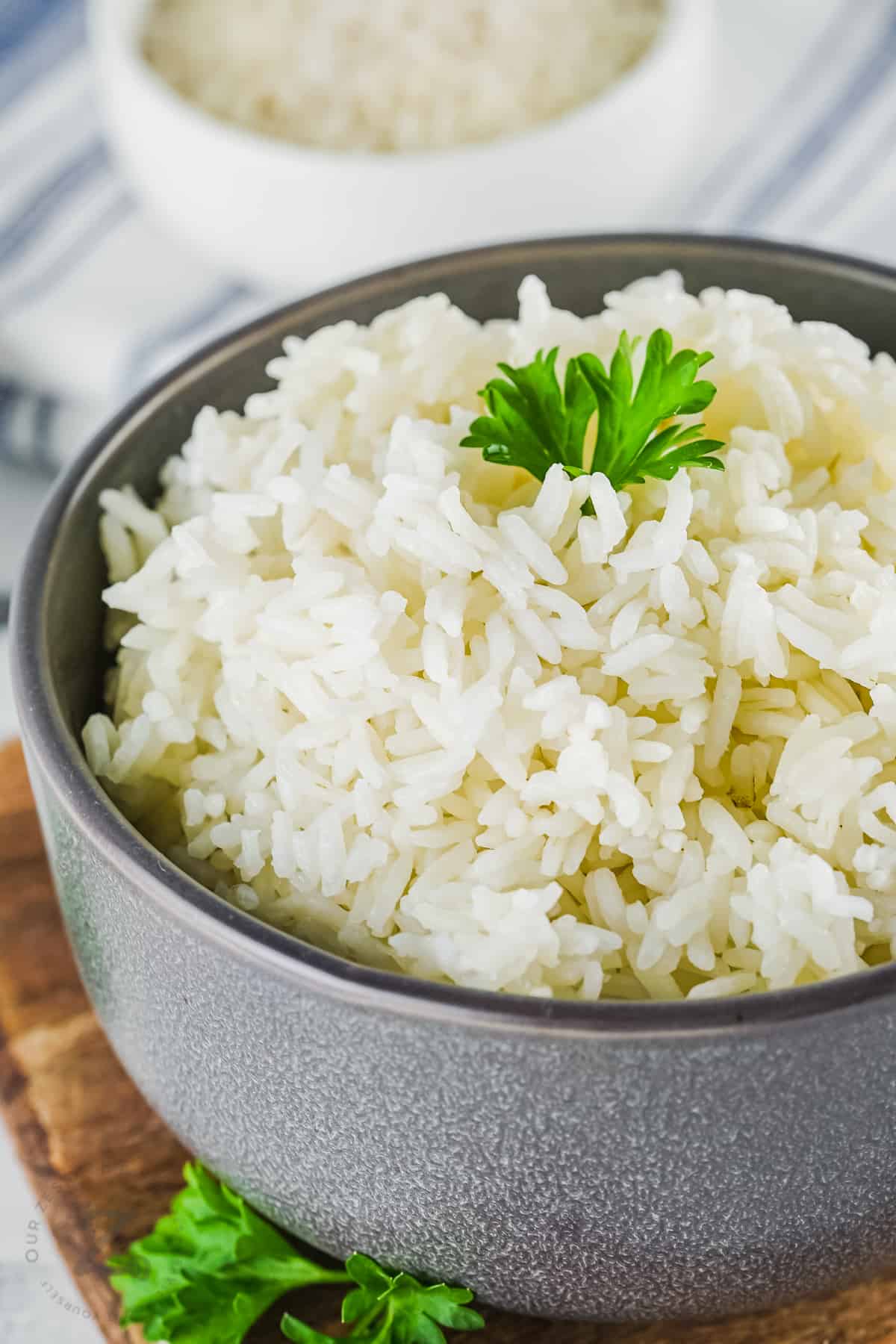 bowl of Instant Pot Rice