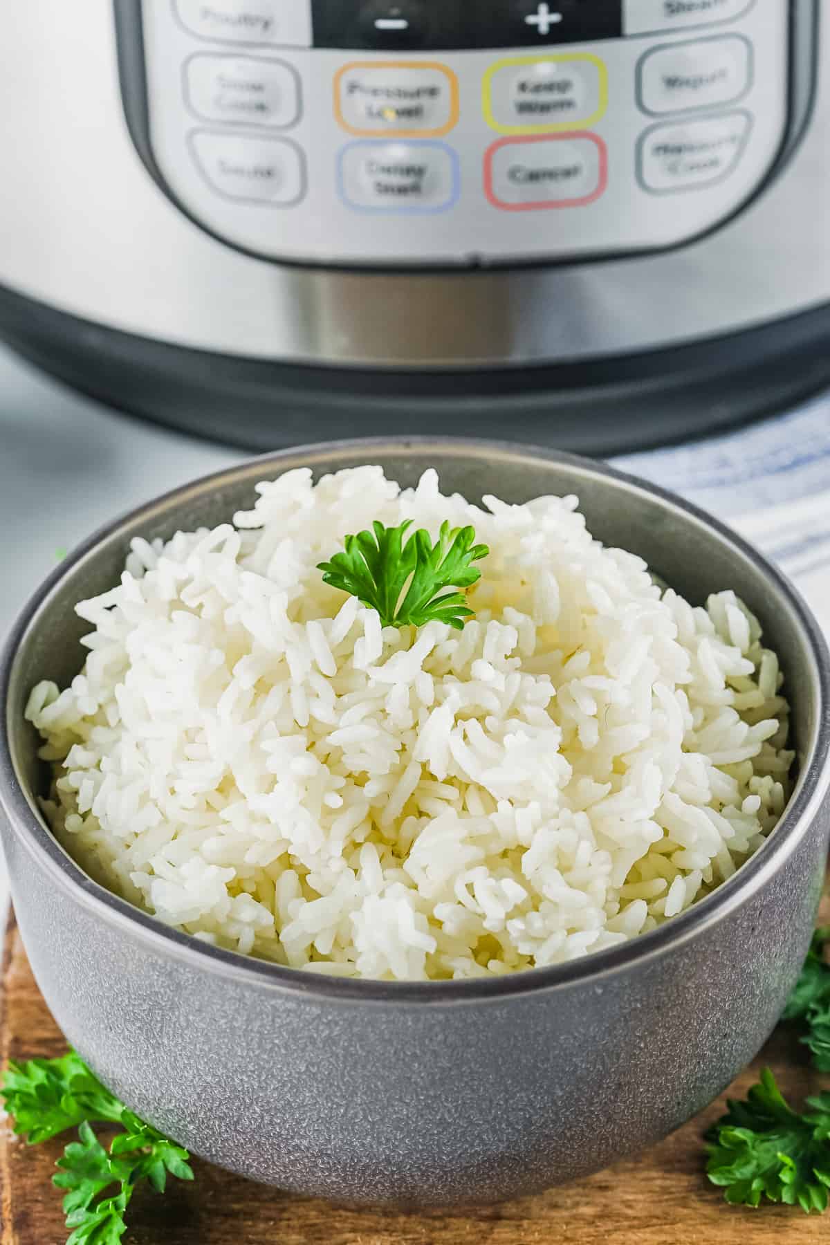 Instant Pot Rice in a bowl with an instant pot in the background