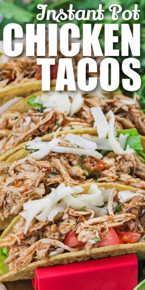 cheesy Instant Pot Shredded Chicken Tacos with a title