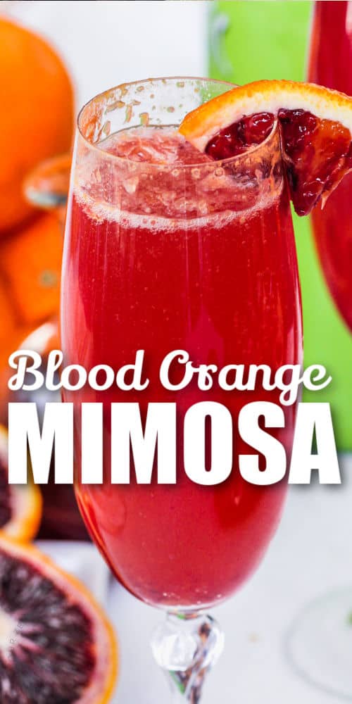 close up of Blood Orange Mimosa with writing