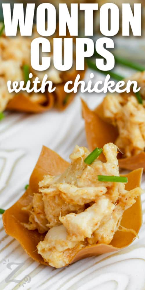 plated Chicken Wonton Cups with writing