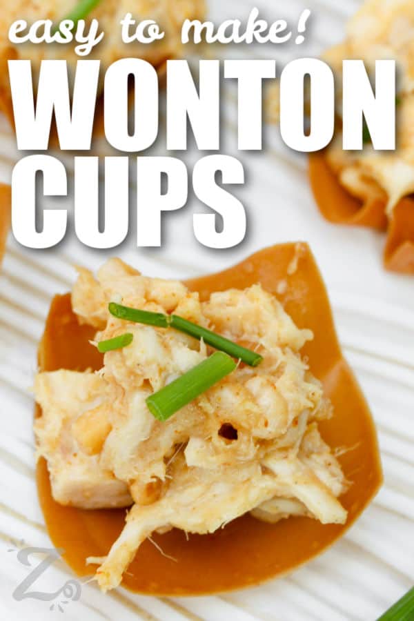 Chicken Wonton Cups with green onion and writing
