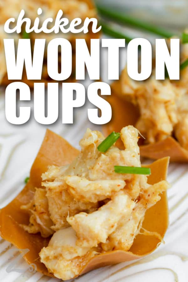 close up of Chicken Wonton Cups with a title