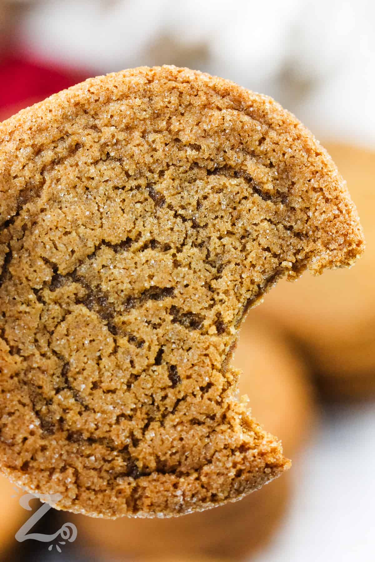 Ginger Cookies with a bite taken out of one