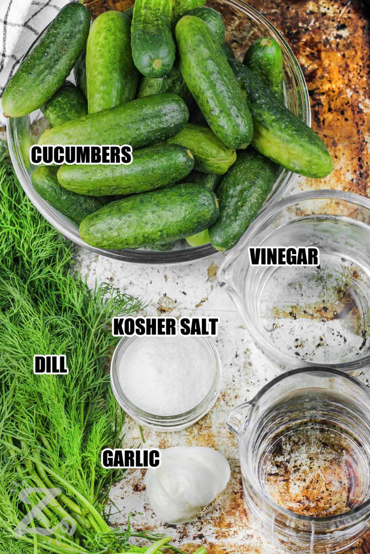 ingredients to make dill pickles labeled: cucumbers, vinegar, kosher salt, garlic and dill