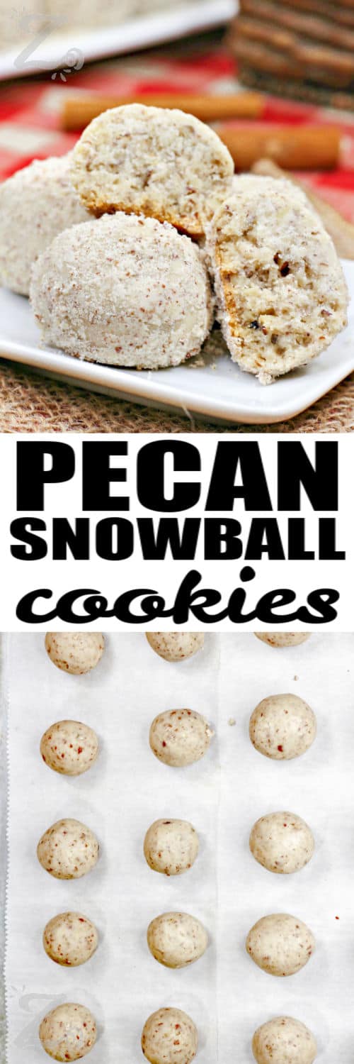 Pecan Snowball Cookies on a sheet pan and plated with a title