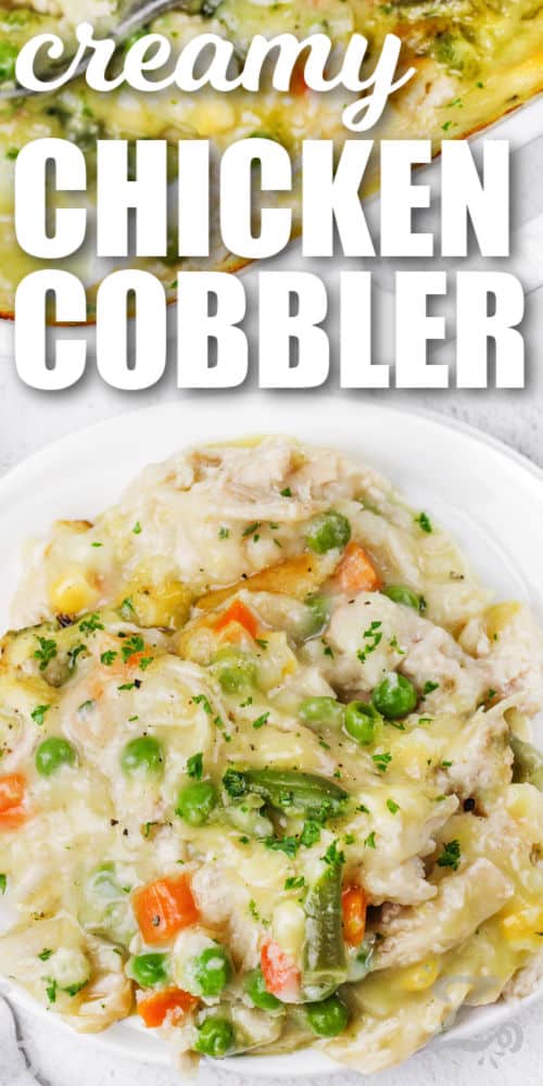 A serving of chicken cobbler with text