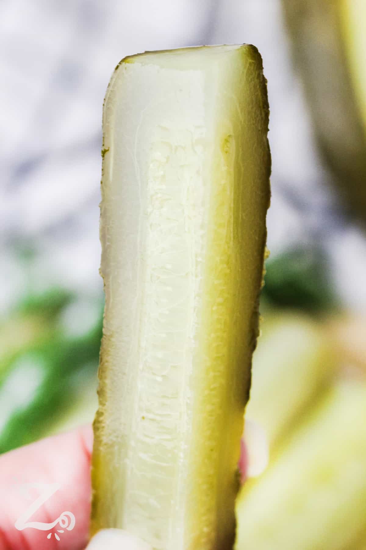 A slice of a dill pickle