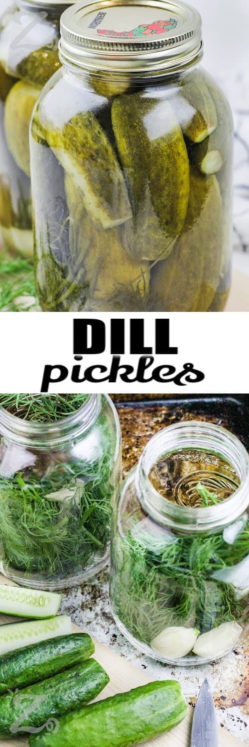 Top image - a jar of dill pickles. Bottom image - ingredients to make dill pickles with a title