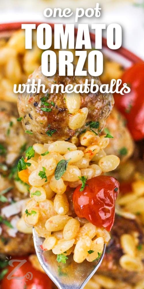 fork with One Pot Tomato Orzo With Meatballs and writing