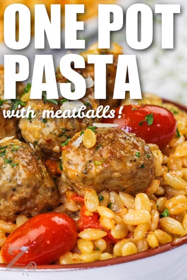 close up of One Pot Tomato Orzo With Meatballs in a bowl with tomatoes and a title