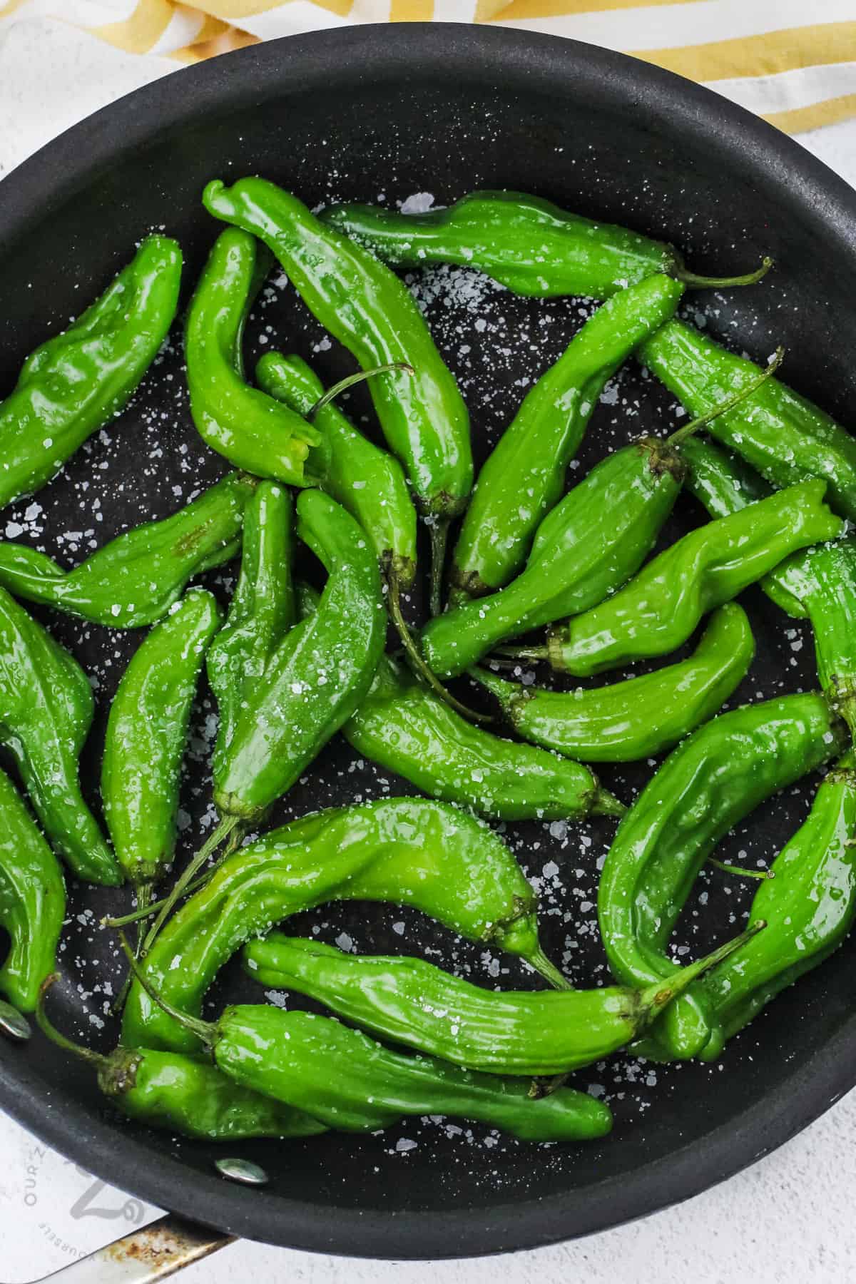 blistered shishito peppers in a frying pan with salt before being cooked