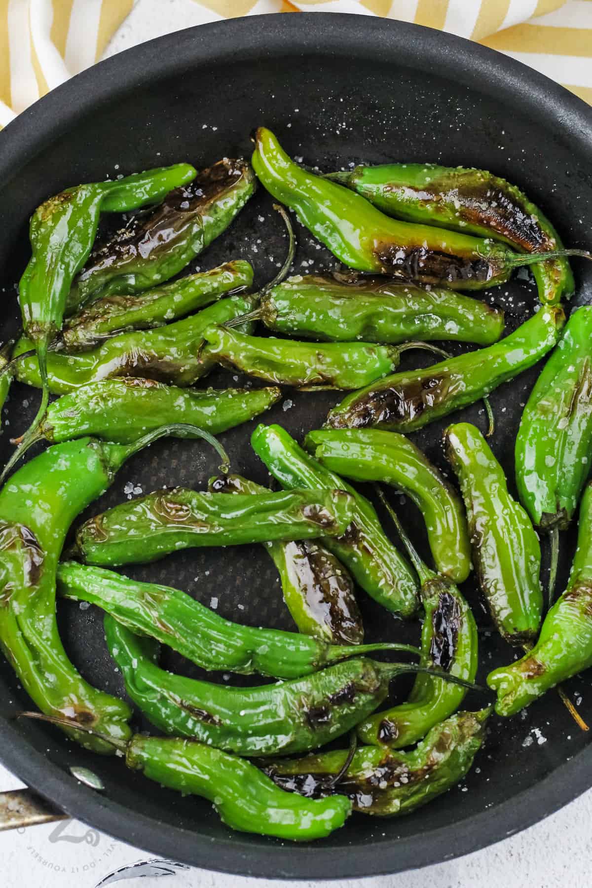 blistered shishito peppers in a pan with salt
