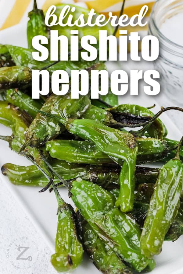 blistered shishito peppers on a serving pate with text