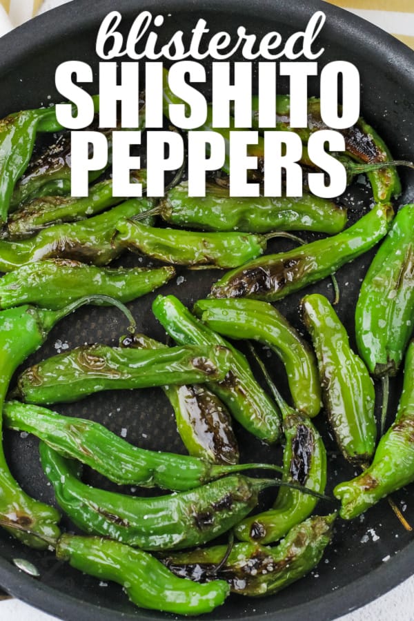 blistered shishito peppers in a pan with writing