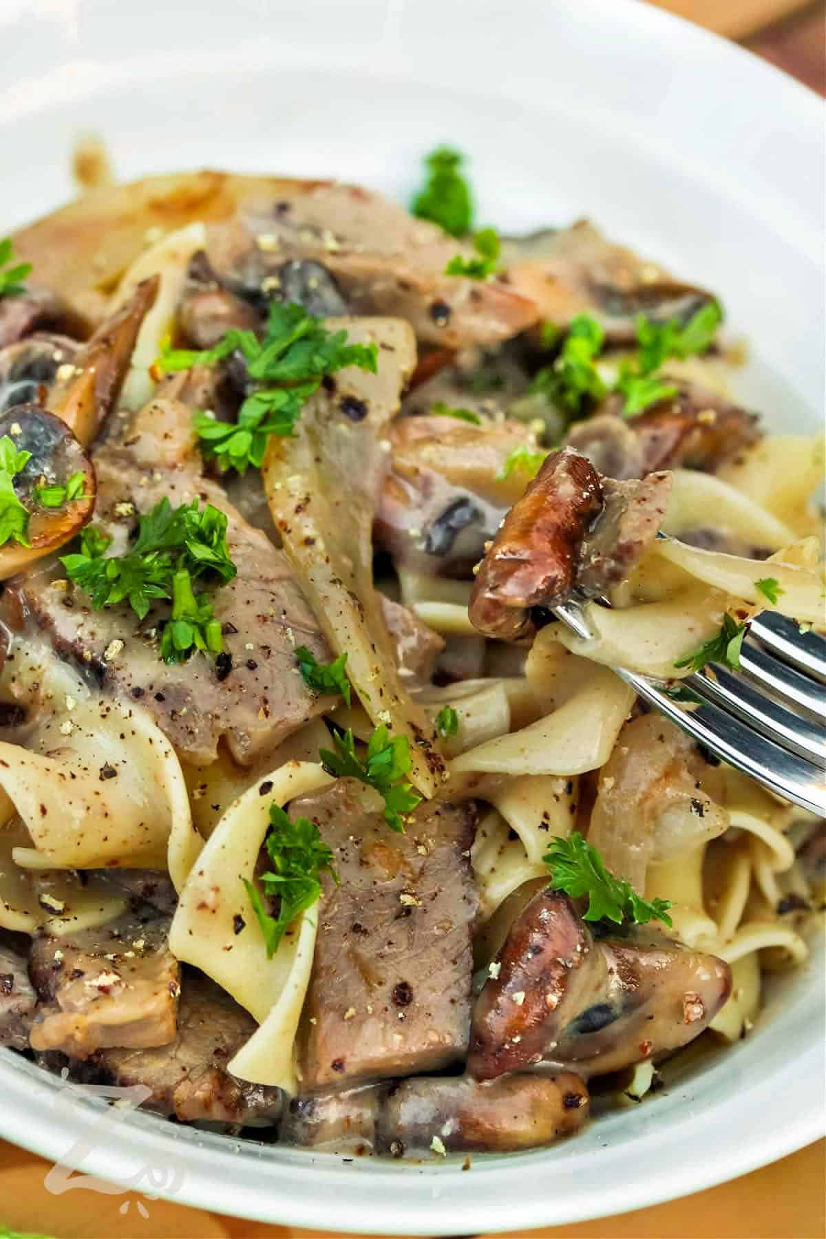 plated Beef Stroganoff with fork