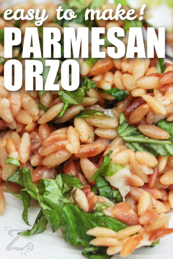 plated parmesan orzo with basil, with writing