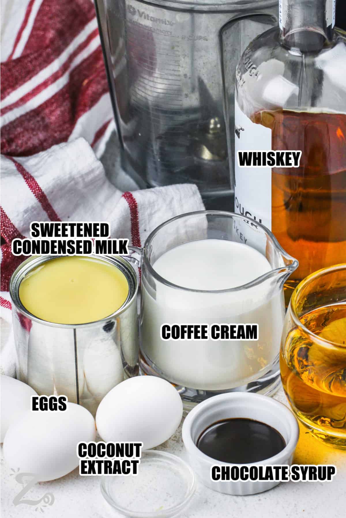 Ingredients to make Homemade Irish Cream labeled: whiskey, sweetened condensed milk, coffee cream, chocolate syrup, coconut extract, and eggs.
