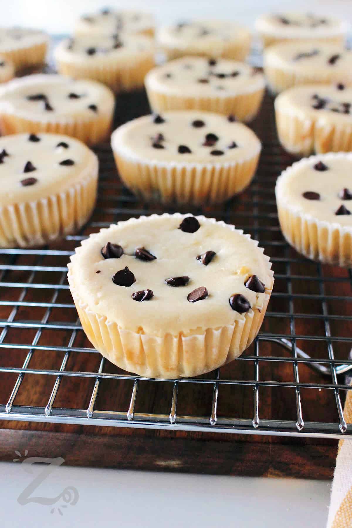 caramel mini cheesecakes on a cooling rack before caramel sauce is added