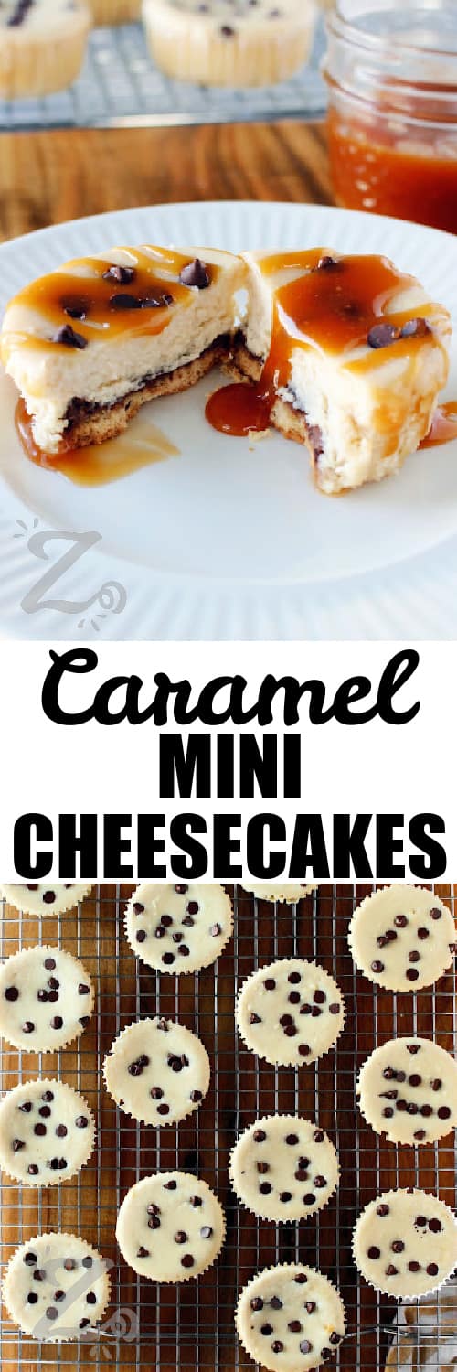 one of the caramel mini cheesecakes sliced in half on a white plate, and baked caramel mini cheesecakes on a cooling rack under the title