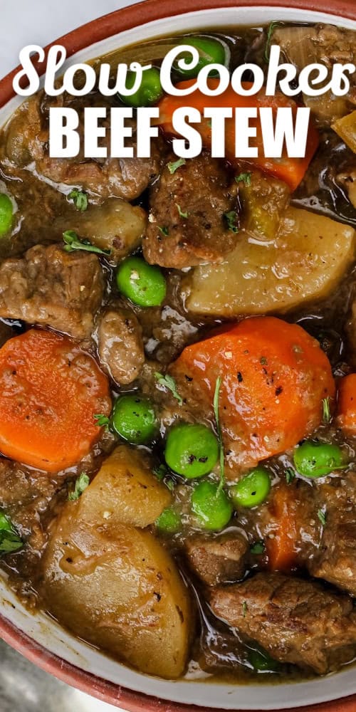 a bowl of slow cooker beef stew with a title