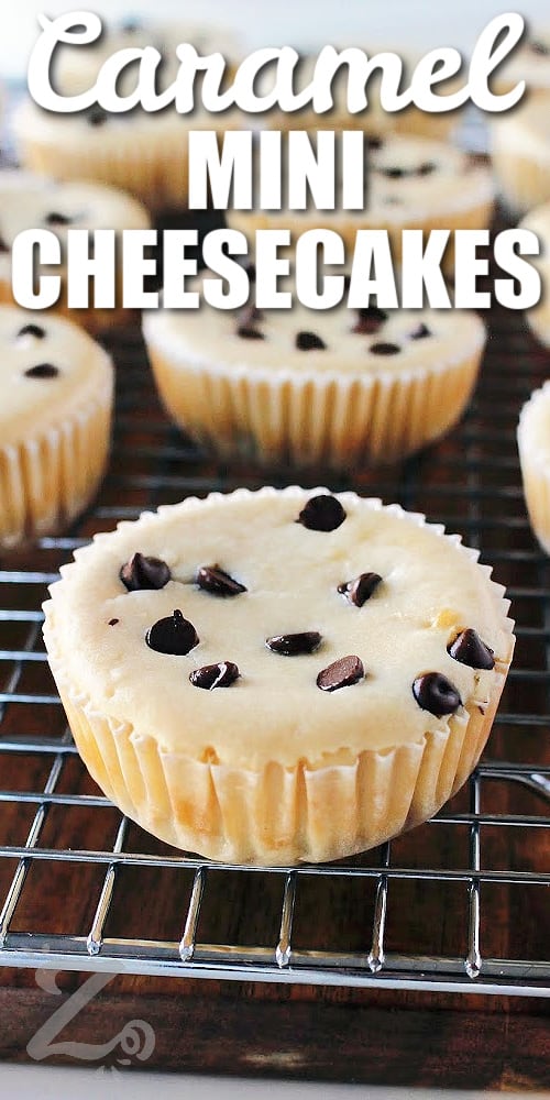 caramel mini cheesecakes on a cooling rack before caramel sauce is added, with a title