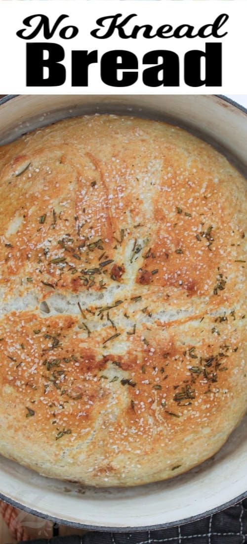 No Knead bread cooked in a dutch oven with a title