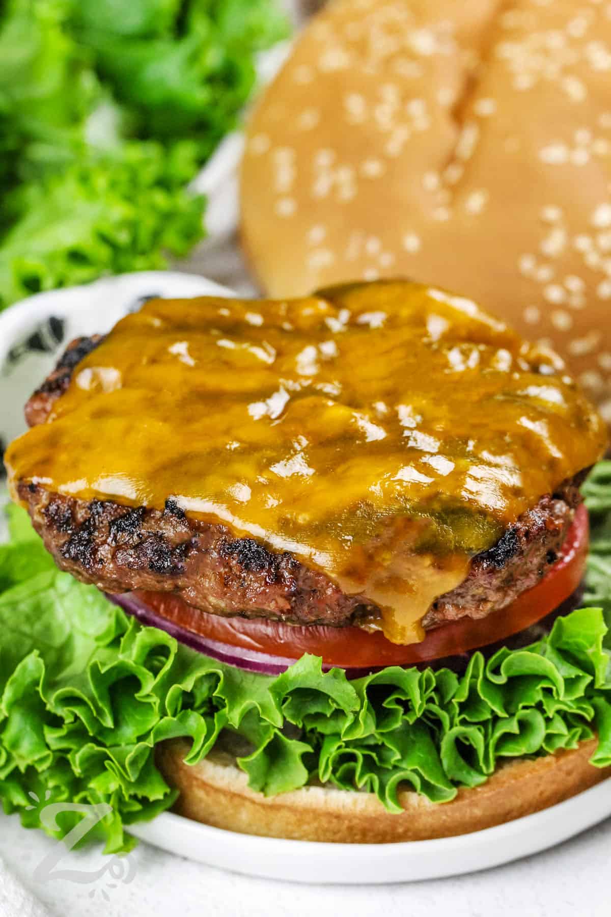 Hamburger Patties with cheese on a bun with lettuce , tomatoe and onion