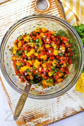 mixed ingredients in a bowl to make Mango Salsa