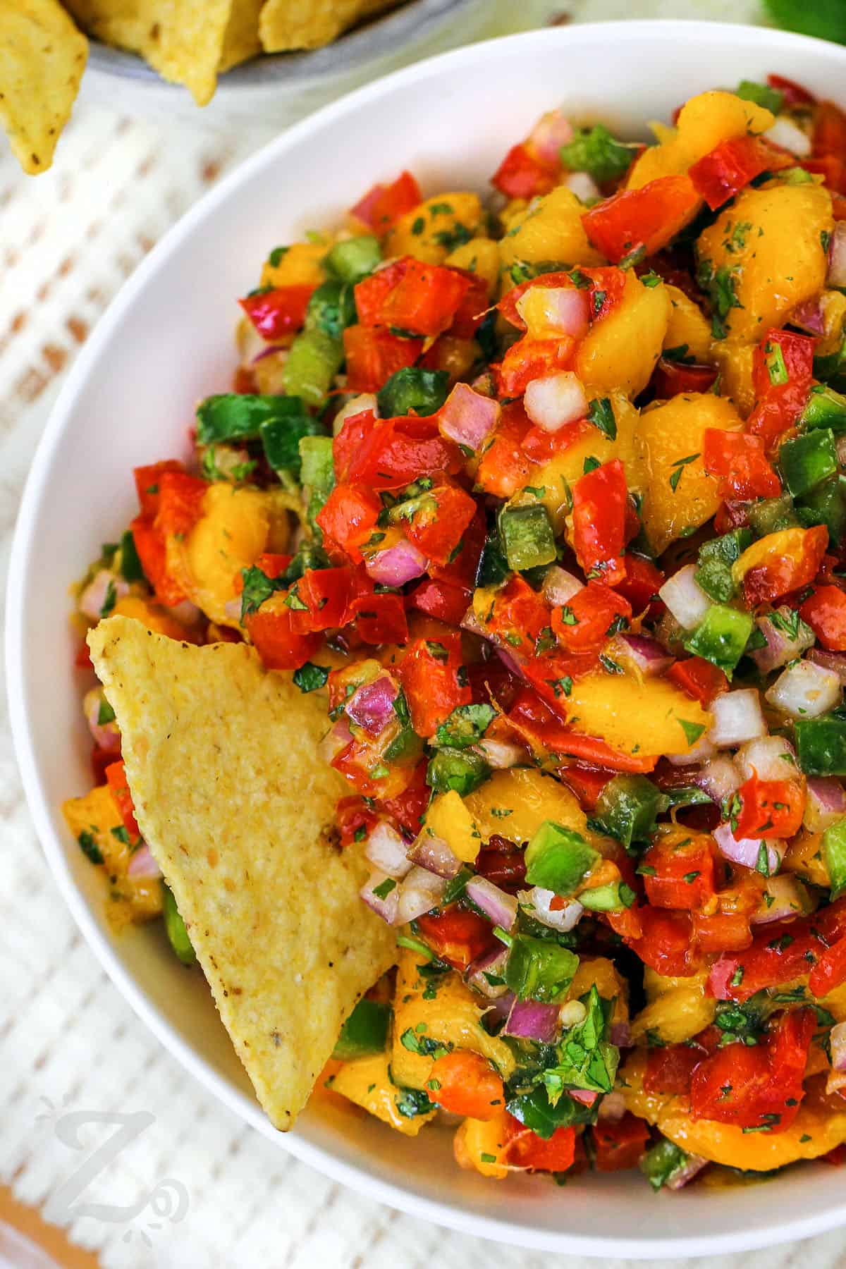 plated Mango Salsa with tortilla chip