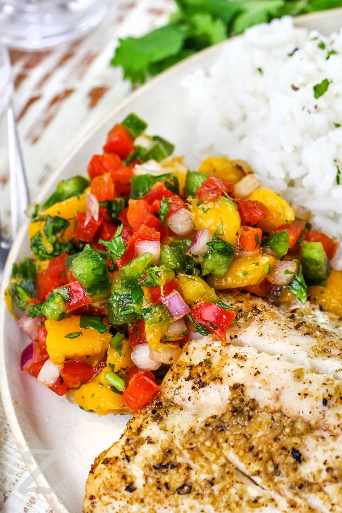 plated Mango Salsa with chicken and rice