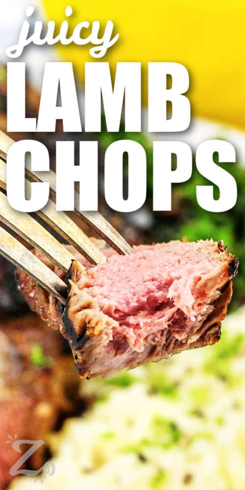 piece of Grilled Lamb Chops on a fork with writing