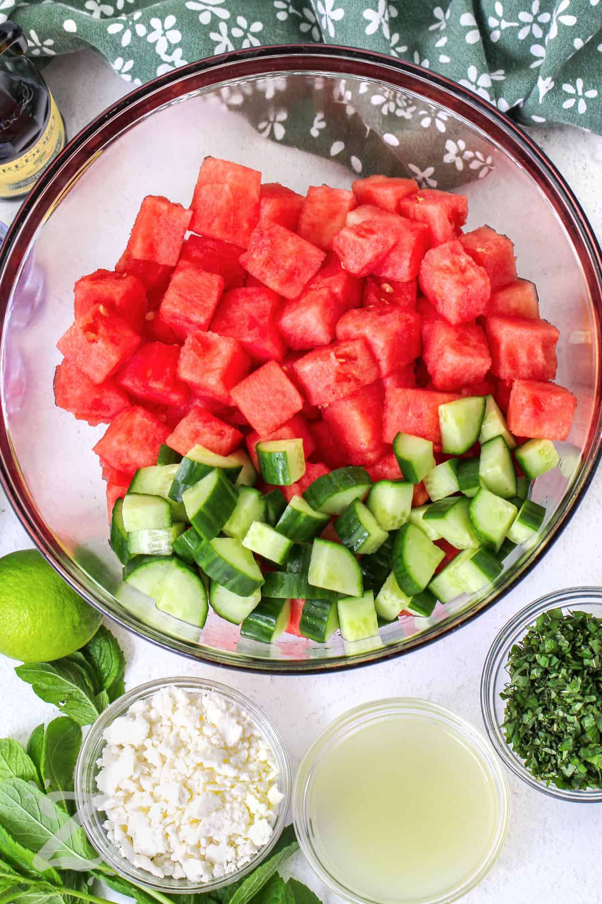 watermelon and cucumber in a bowl to make Watermelon Salad