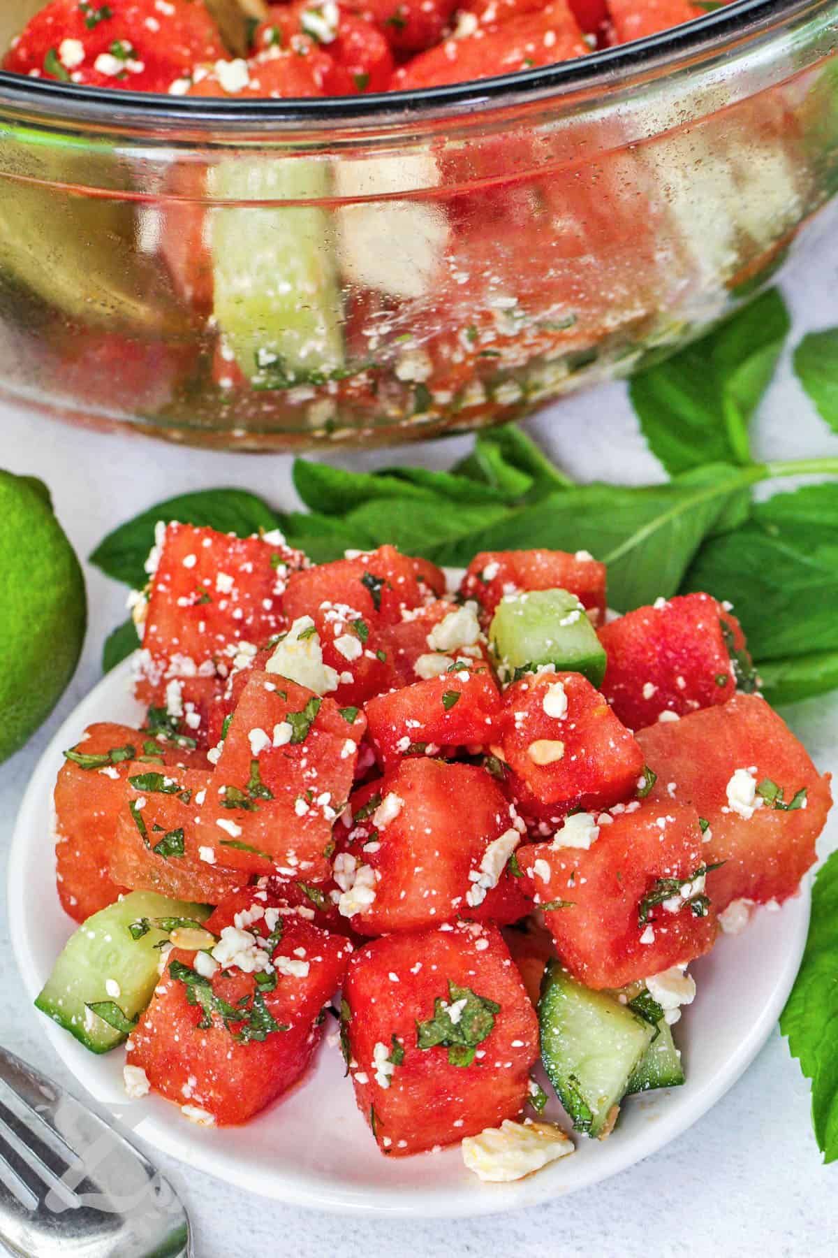 plated Watermelon Salad with feta