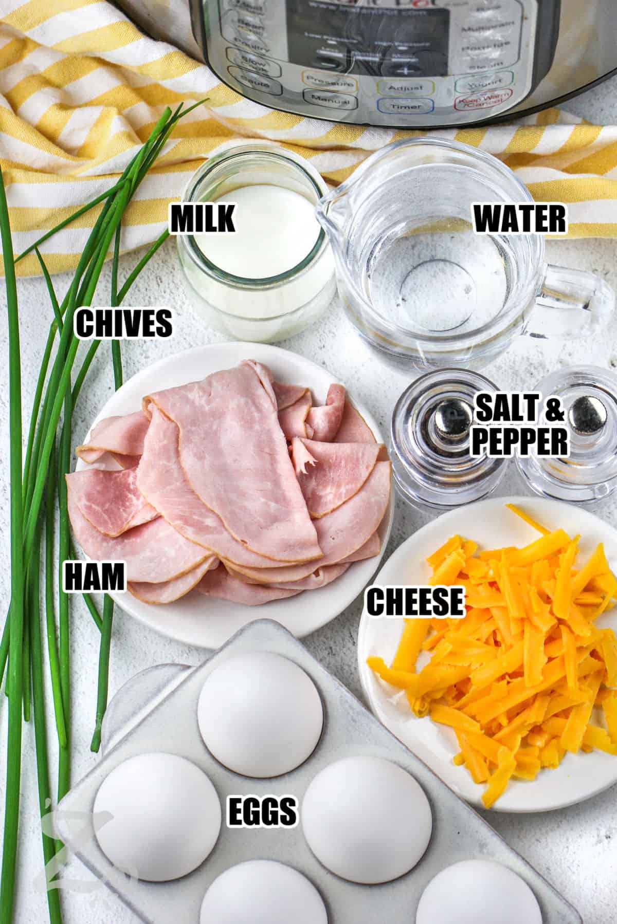 milk , water , chives , ham , cheese , eggs , salt and pepper with labels to make Instant Pot Egg Bites