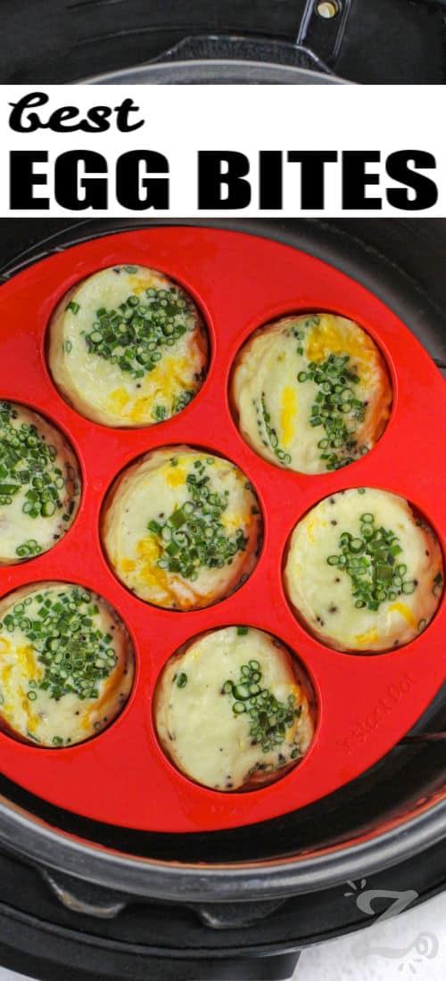 Instant Pot Egg Bites in an egg mold with a title