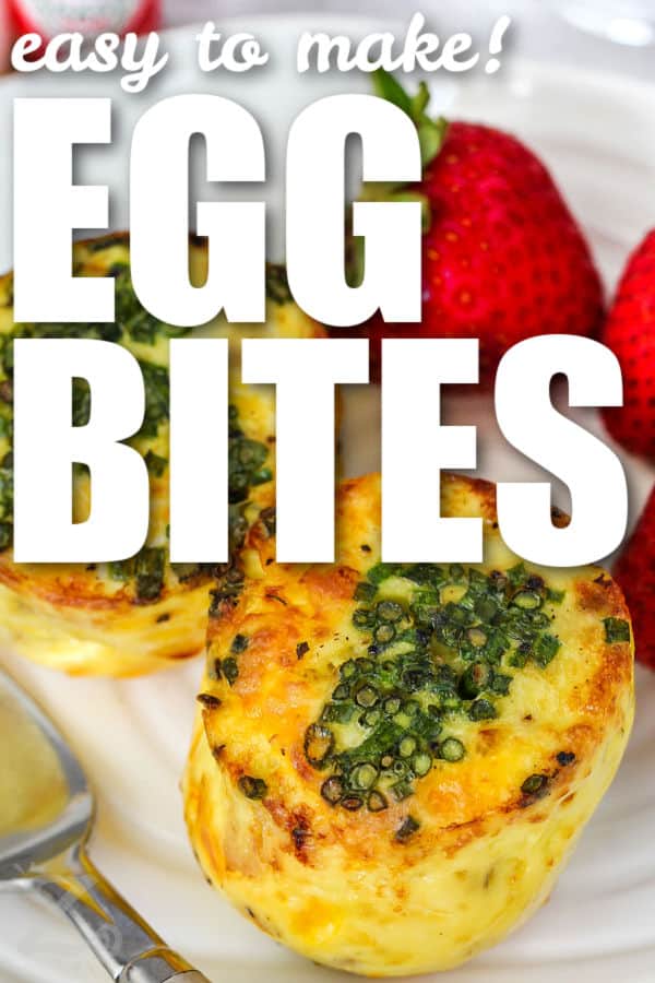 easy to make Instant Pot Egg Bites with writing