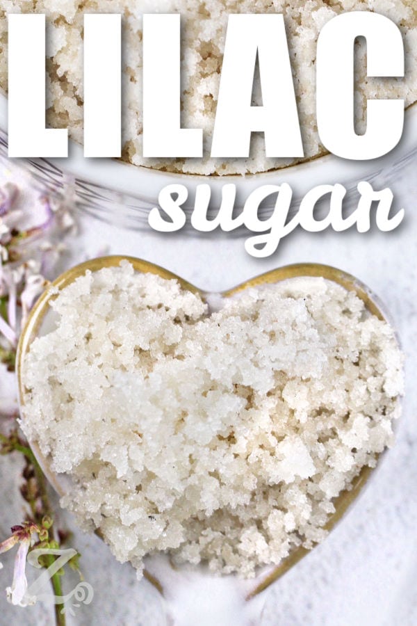 Lilac Sugar on a heart spoon with a title