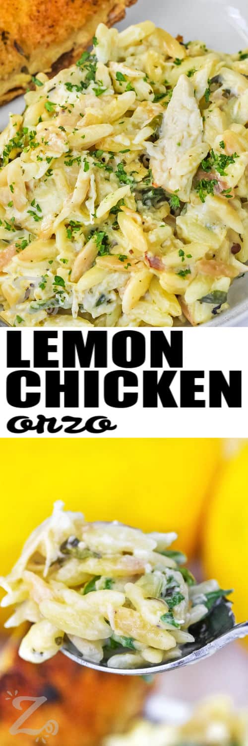 lemon chicken orzo on a white plate, and a spoonful of lemon chicken orzo under the title