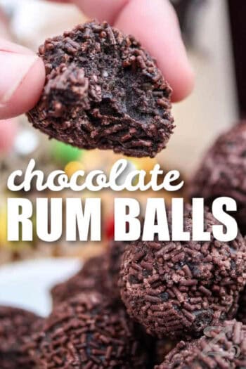 Chocolate Rum Balls (Easy, no bake recipe!) - Our Zesty Life