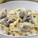horizontal turkey tetrazzini