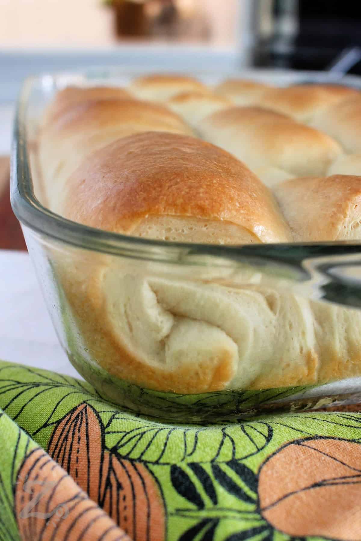 close up of Parker House Rolls in a clear baking dish