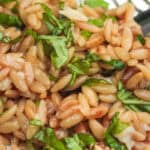 closeup of parmesan orzo with a fork
